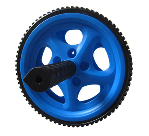 OK1317 Exercies Wheel